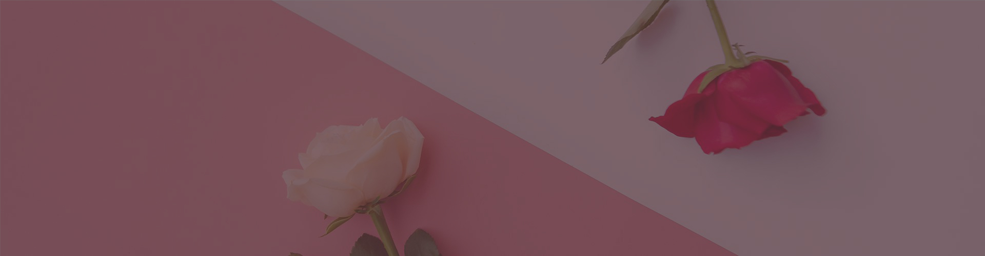 星空体育网站安全